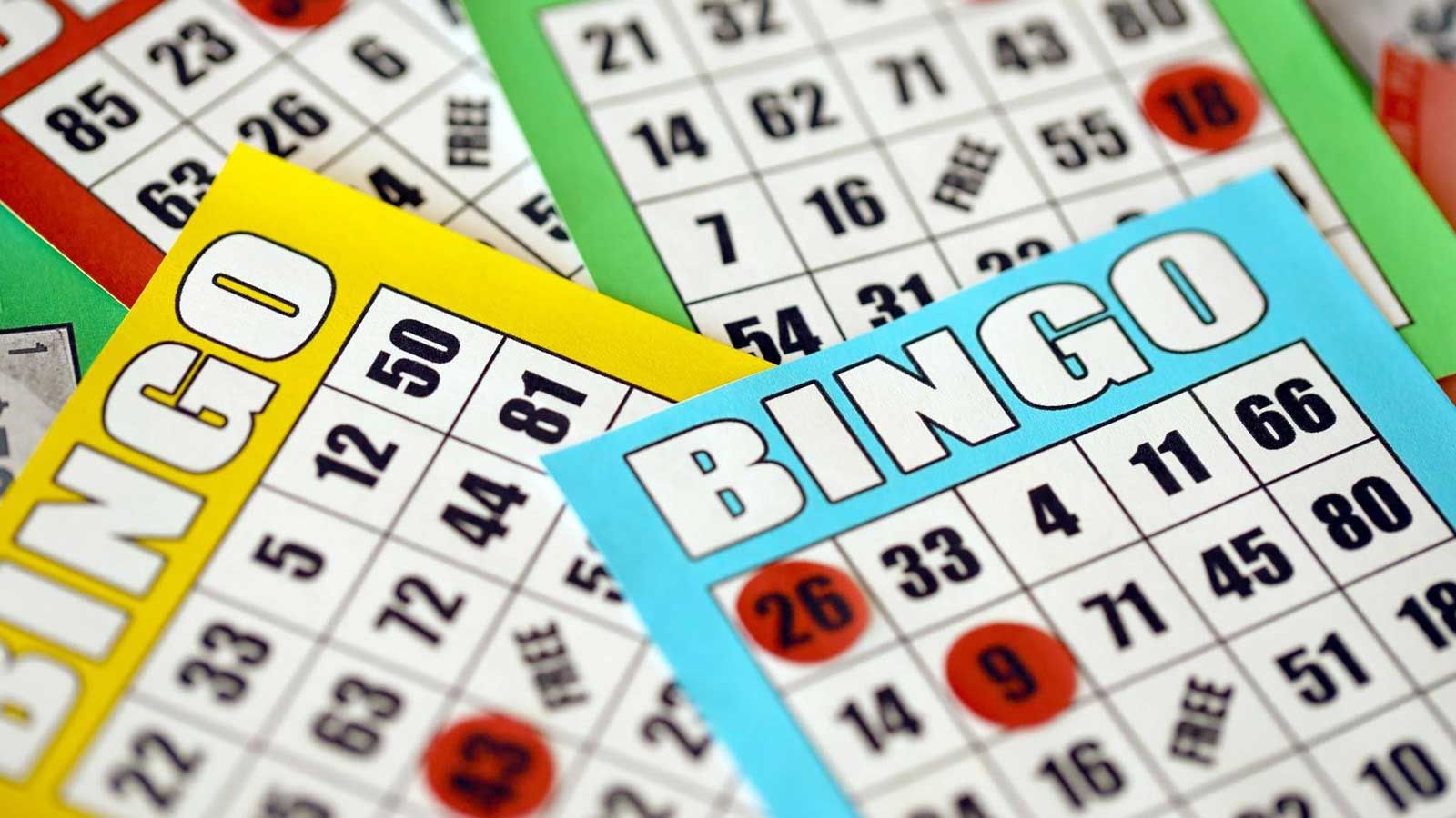 Dijk-en-Waard-Activiteiten-Bingo.jpg